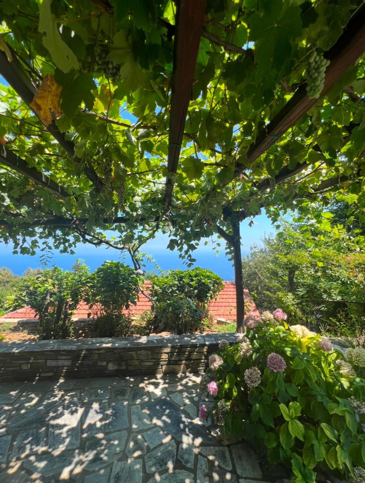 شقة Om Living Pelion Áyios Dhimítrios المظهر الخارجي الصورة